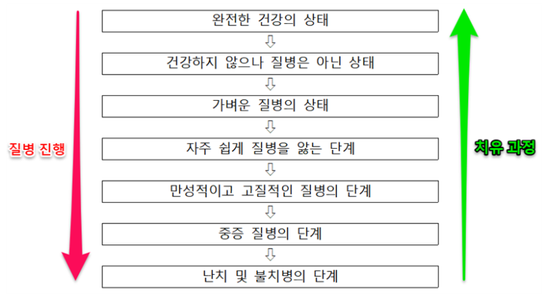 FCST(TBT) 고급추나로 구조와 이동로를 최적화하는 치료의 여정