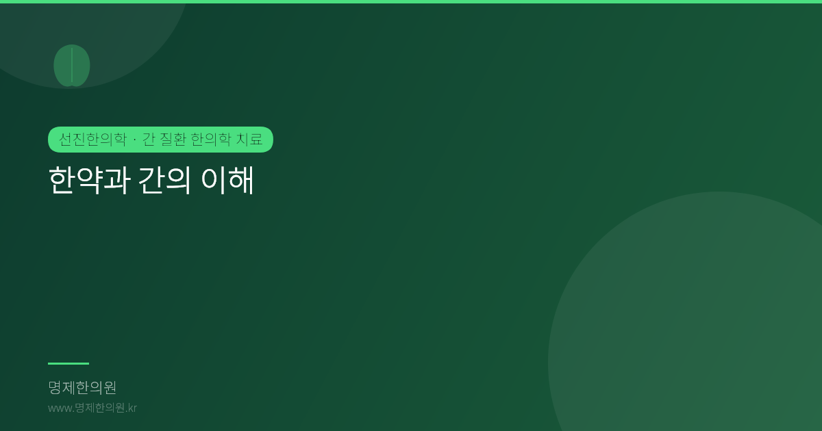 한약과 간의 이해