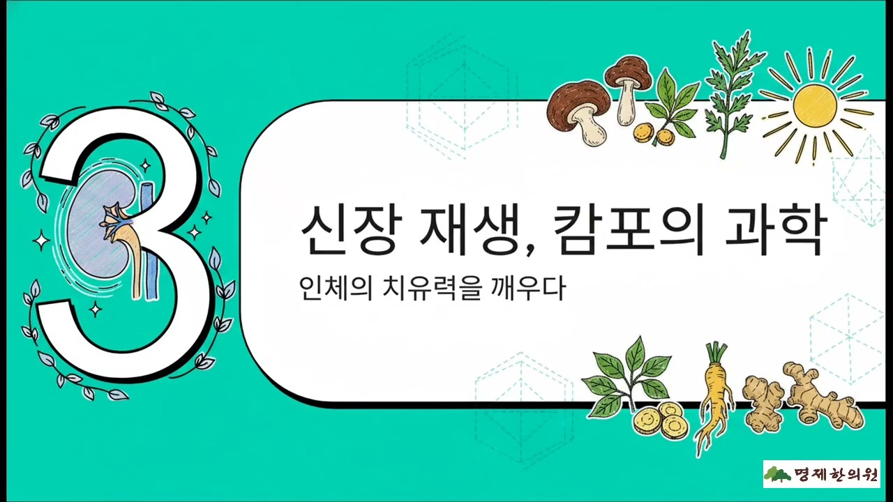 일본 신장내과 한약으로 신부전 치료 (양약 신독성 주의)