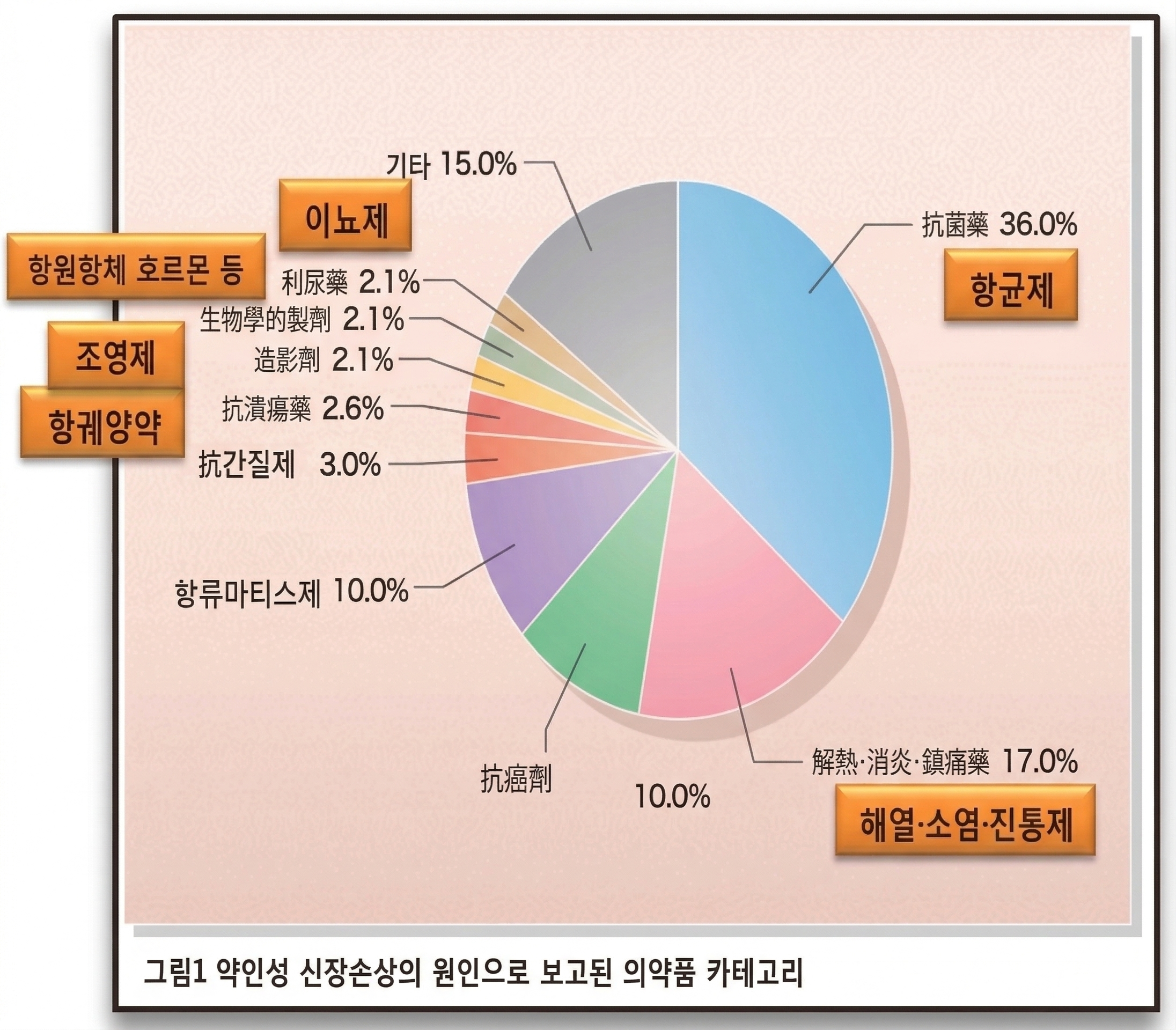 약인성 신장애